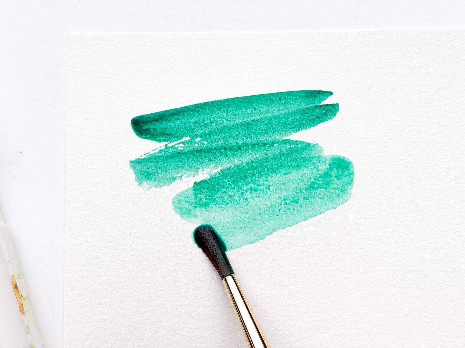 Simple Color Paint Watercolor Painting for Beginners Made EASY! - By Heidi Grace